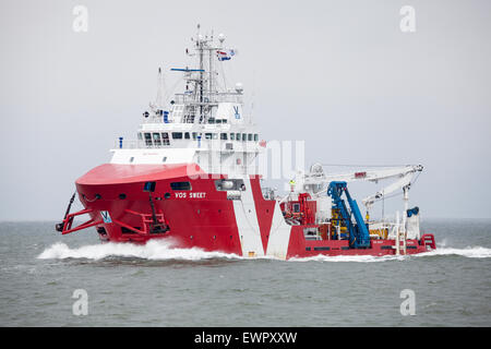 Bateau Offshore, Vos doux, navigation sur l'estuaire de l'Ems en route vers Eemshaven aux Pays-Bas. Banque D'Images