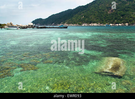 Port de Koh Tao et Koh Nangyuan îles en Thaïlande. plongée sous-marine paradise avec l'eau de mer claire et beach rocks Banque D'Images