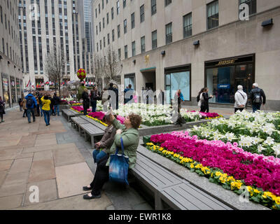 Fleurs du printemps au Rockefeller Center à New York Banque D'Images