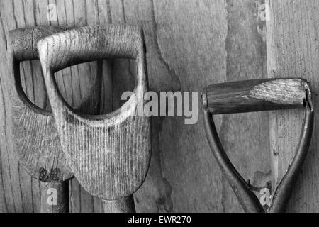 Poignées en bois d'outils de jardin. Banque D'Images