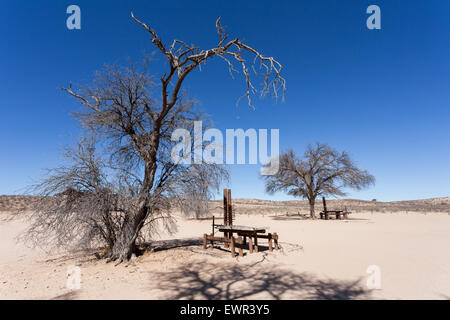Escale reste place dans transfontier Kgalagadi park, Game Reserve en Afrique du Sud avec ciel bleu Banque D'Images