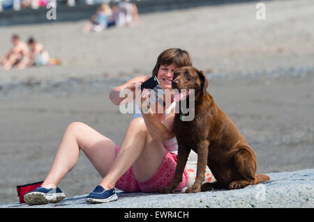 Pays de Galles Aberystwyth UK. Le mardi 30 juin 2015 une femme prend une '70623' avec son chien sur la plage, dans le beau temps chaud à Aberystwyth , l'ouest du pays de Galles au Royaume-Uni. La température aujourd'hui devrait atteindre plus de 30 degrés C dans certaines parties du sud-est de la Grande-Bretagne , et d'être encore plus chaud demain. Photo : Keith Morris / Alamy Live News Banque D'Images