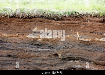 Les strates du sol, y compris la section des cendres volcaniques en Islande Banque D'Images