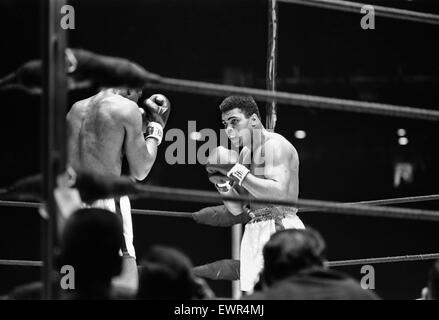 Muhammad Ali et Ernie Terrell se sont réunis pour mettre fin à la confusion quant à savoir qui était le champion du légitime. Avant le combat, Terrell à plusieurs reprises appelé Ali par son nom de naissance. Il a expliqué plus tard qu'il avait connu pendant des années dans l'argile les amateurs et n'avait pas obtenu Banque D'Images