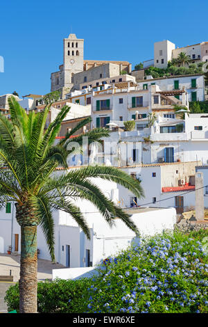 Ibiza ville, Ibiza, Baléares, Espagne, Banque D'Images