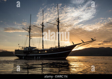 Bateau de croisière de plongée au mouillage dans les îles de Komodo. Banque D'Images