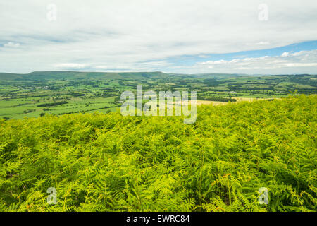 Longridge, Lancashire, Royaume-Uni. 30 Juin, 2015. Météo France : Avec des températures de 28 degrés dans le Lancashire frapper le Vale de chipping air très bien dans l'état chaud Crédit : Gary Telford/Alamy live news Banque D'Images