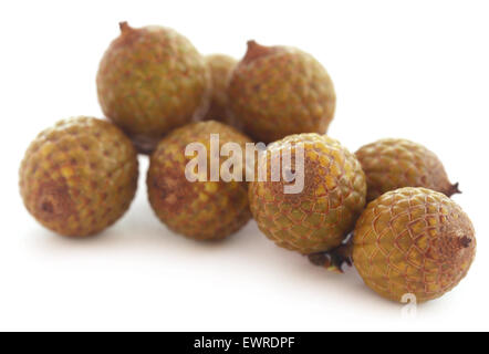 Calamus Tropical fruits de palmier sur fond blanc Banque D'Images