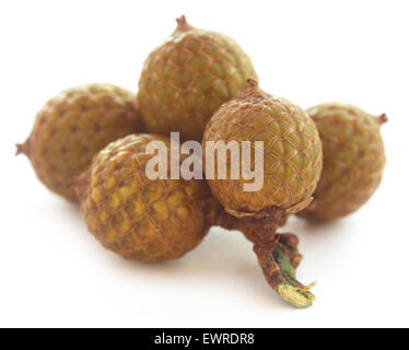 Calamus Tropical fruits de palmier sur fond blanc Banque D'Images