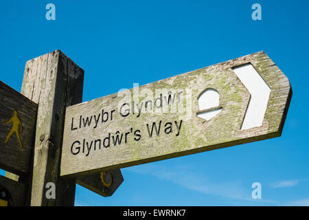 Sentier national acorn signpost Machynlleth, Powys, Wales, Royaume-Uni Banque D'Images