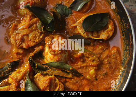 Oeufs au curry Banque D'Images