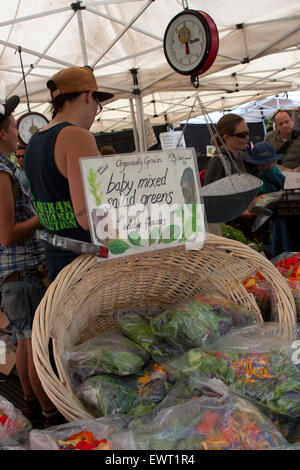 Affiche et stands à la Berkeley Samedi Marché de producteurs en Californie. Banque D'Images