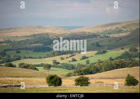 Paysage dans la haute vallée de l'Eden à proximité de Kirkby Stephen, Cumbria, Royaume-Uni. Banque D'Images