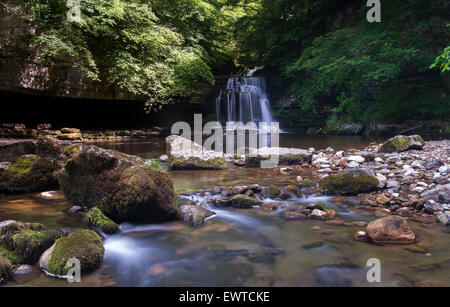 Chaudron Falls à West Burton, Wensleydale, Yorkshire Dales National Park. Banque D'Images