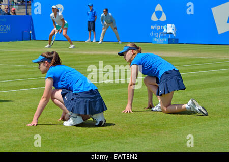 Ballgirls au tournoi international Aegon à Eastbourne, 2015 Banque D'Images