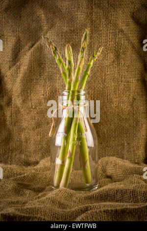 Un bouquet d'Asperges dans une bouteille. Banque D'Images