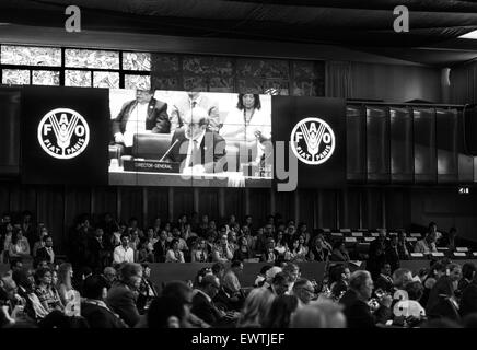 Reine Letizia d'Espagne reçoit le rôle de l'Ambassadeur de la nutrition au siège de la FAO à , FAO, Rome, Italie, 12/06/15 Banque D'Images