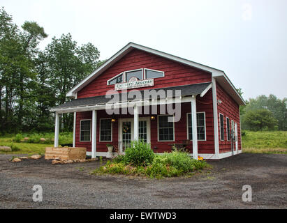 Accents de pays, une petite maison et jardin magasin dans l'Adirondack State Park, New York Banque D'Images