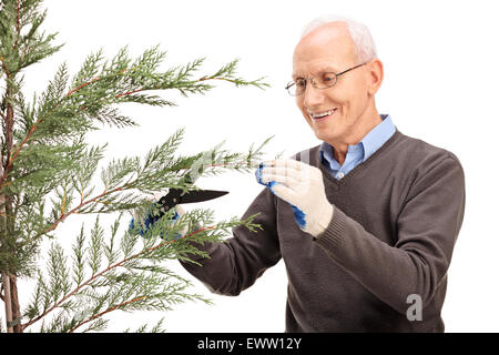 Cheerful senior homme coupe des branches d'un conifère et souriant isolé sur fond blanc Banque D'Images