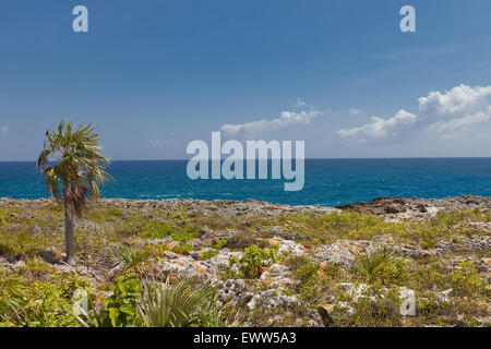 Rive de l'île Grand Cayman, îles Caïmans, territoire britannique d'outre-mer Banque D'Images