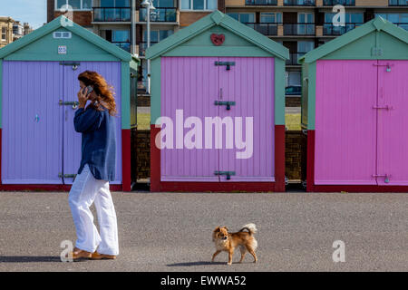 Une femme entre son chien passé cabines colorées sur le front de mer de Brighton, Brighton, Sussex, UK Banque D'Images