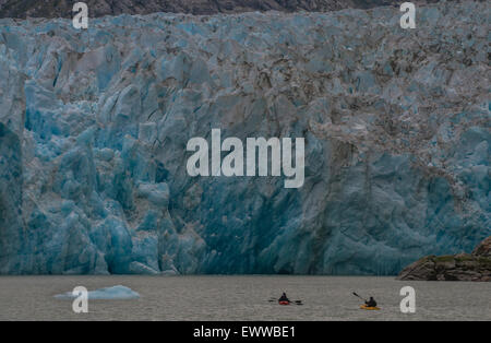 Les kayakistes sont éclipsées par la face escarpée de Dawes Glacier dans l'Endicott Arm. Tracy Arm-Fords la terreur désert, le sud-est de l'Alaska, T Banque D'Images