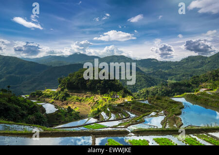 Vue panoramique étonnante des rizières en terrasses des champs dans la province d'Ifugao montagne sous ciel nuageux ciel bleu. Philippines Banaue, son l'UNESCO Banque D'Images