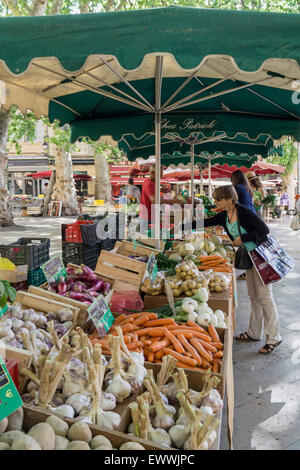 Un marché Place Richelme, fruits et légumes, Aix en Provence, bouche du Rhone, France Banque D'Images