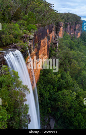 Fitzroy Falls - parc national de Morton - , - Australie Banque D'Images