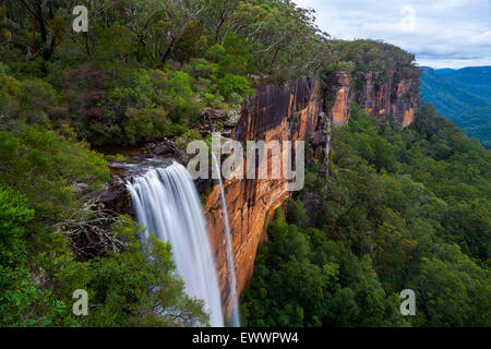 Fitzroy Falls - parc national de Morton - , - Australie Banque D'Images