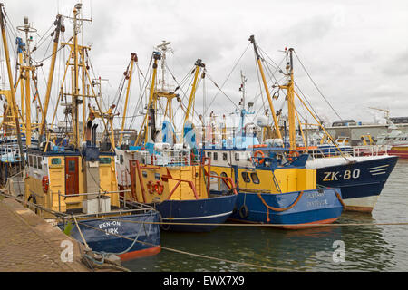 Bateaux de pêche colorés, amarrés dans de Vissershaven, le port d'IJmuiden, Hollande du Nord, aux Pays-Bas. Banque D'Images