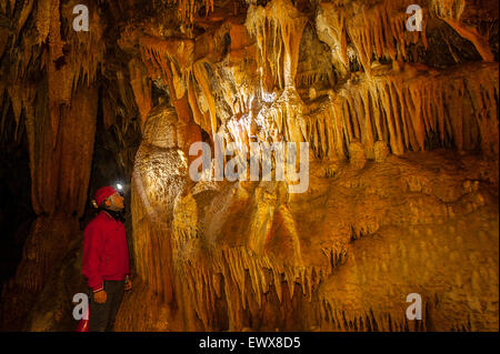 Italie Pouilles Castellana Cove -Branches de stalactites (coralloïdes ) Banque D'Images