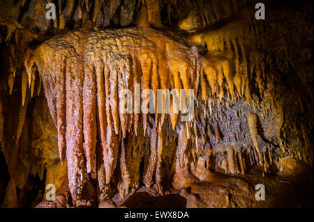 Italie Pouilles Castellana Cove -Branches de stalactites (coralloïdes ) Banque D'Images