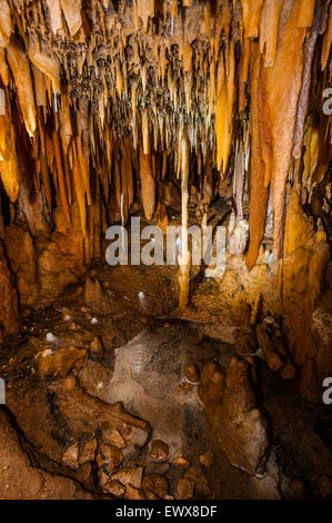 Italie Pouilles Castellana Cove -Branches de stalactites (coralloïdes )avec petit étang de l'eau qui goutte Banque D'Images