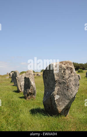 Exemples des menhirs qui font partie de la célèbre des alignements de Carnac. Ces pierres s'étendent sur plus de 4 kmBreton menhirs Banque D'Images