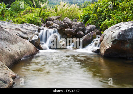 Cascade de la forêt profonde, belle nature en Thaïlande Banque D'Images