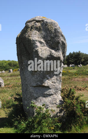 L'un des plus grands du monde célèbre menhirs de Carnac en Bretagne, dit qu'ils ressemblent à une tête de géant et le visage. Banque D'Images