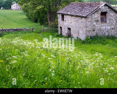 Domaine grange près de West Burton dans Wensleydale Yorkshire Angleterre Nord Yorkshire Dales Banque D'Images