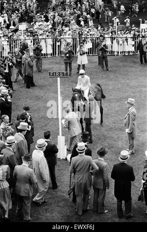 Vainqueur de la Gold Cup d'Ascot, quatre ans, hymne monté par Steve Cauthen, formateur Henry Cecil, appartenant à Lord Howard de Walden. 17 juin 1987. Banque D'Images