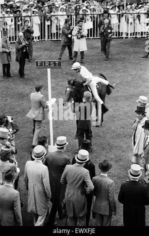 Vainqueur de la Gold Cup d'Ascot, quatre ans, hymne monté par Steve Cauthen, formateur Henry Cecil, appartenant à Lord Howard de Walden. 17 juin 1987. Banque D'Images