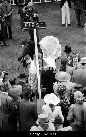 Vainqueur de la Gold Cup d'Ascot, quatre ans, hymne monté par Steve Cauthen, formateur Henry Cecil, appartenant à Lord Howard de Walden. 17 juin 1987. Banque D'Images