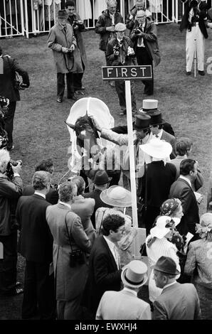 Vainqueur de la Gold Cup d'Ascot, quatre ans, hymne monté par Steve Cauthen, formateur Henry Cecil, appartenant à Lord Howard de Walden. 17 juin 1987. Banque D'Images