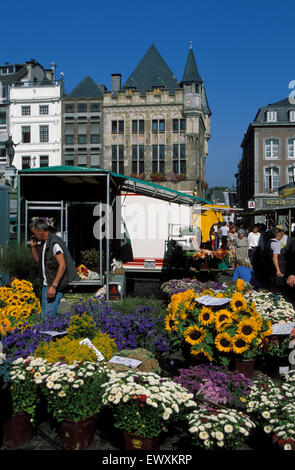 DEU, Allemagne, Aix-la-Chapelle, flower stall sur le marché en face de l'hôtel de ville, à l'arrière chambre Loewenstein DEU, Deutschland, l'Aach Banque D'Images