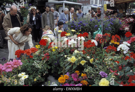 DEU, Allemagne, Aix-la-Chapelle, flower stall au marché en face de l'hôtel de ville. DEU, Deutschland, Aix-la-Chapelle, Blumenverkauf auf dem Mark Banque D'Images