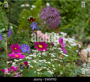 En chalet jardin fleurs d'été Banque D'Images