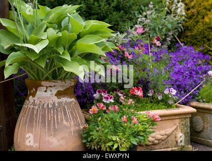 Beau cottage garden planters Banque D'Images