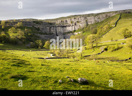 Malham Cove, dans le Yorkshire Dales national park, England, UK Banque D'Images