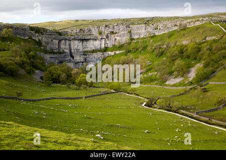 Malham Cove, dans le Yorkshire Dales national park, England, UK Banque D'Images