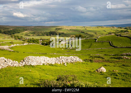 Champs et des murs secs, Malham, Yorkshire Dales national park, England, UK Banque D'Images