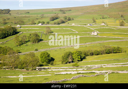 Vieilles granges et des murs secs, Malham, Yorkshire Dales national park, England, UK Banque D'Images